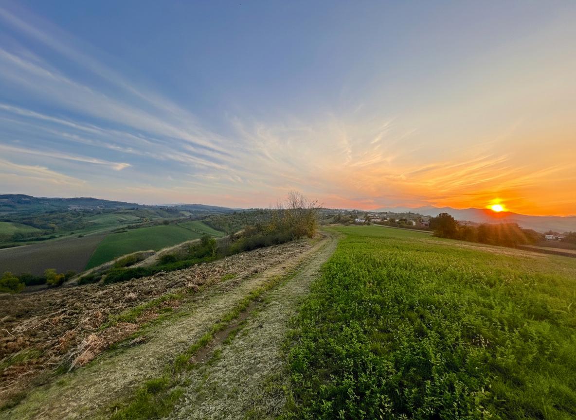 immagine annuncio 4 di 8