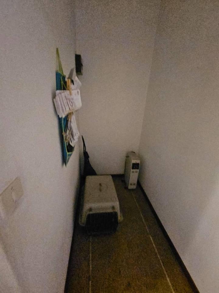 immagine annuncio 8 di 9