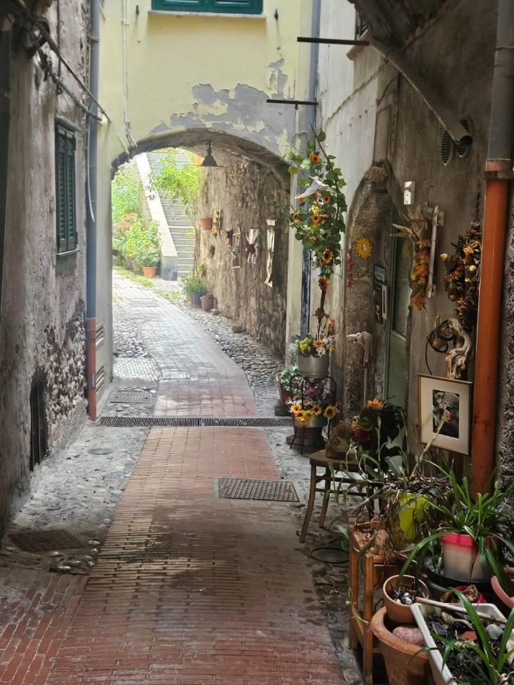 immagine annuncio 11 di 14