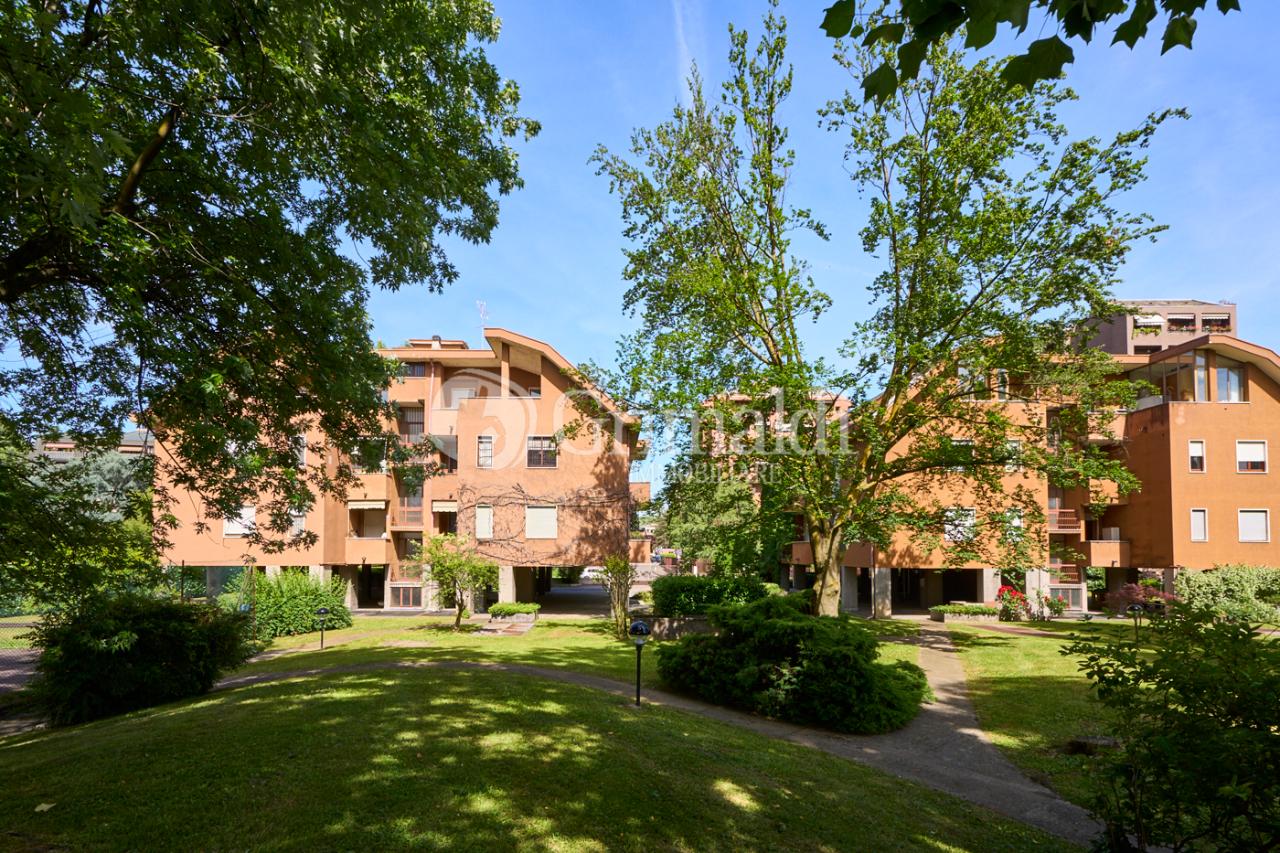 immagine annuncio 5 di 15