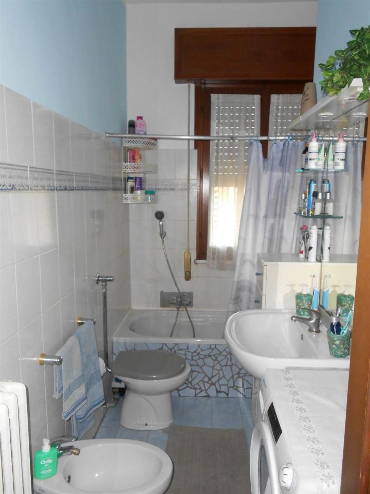 immagine annuncio 11 di 14