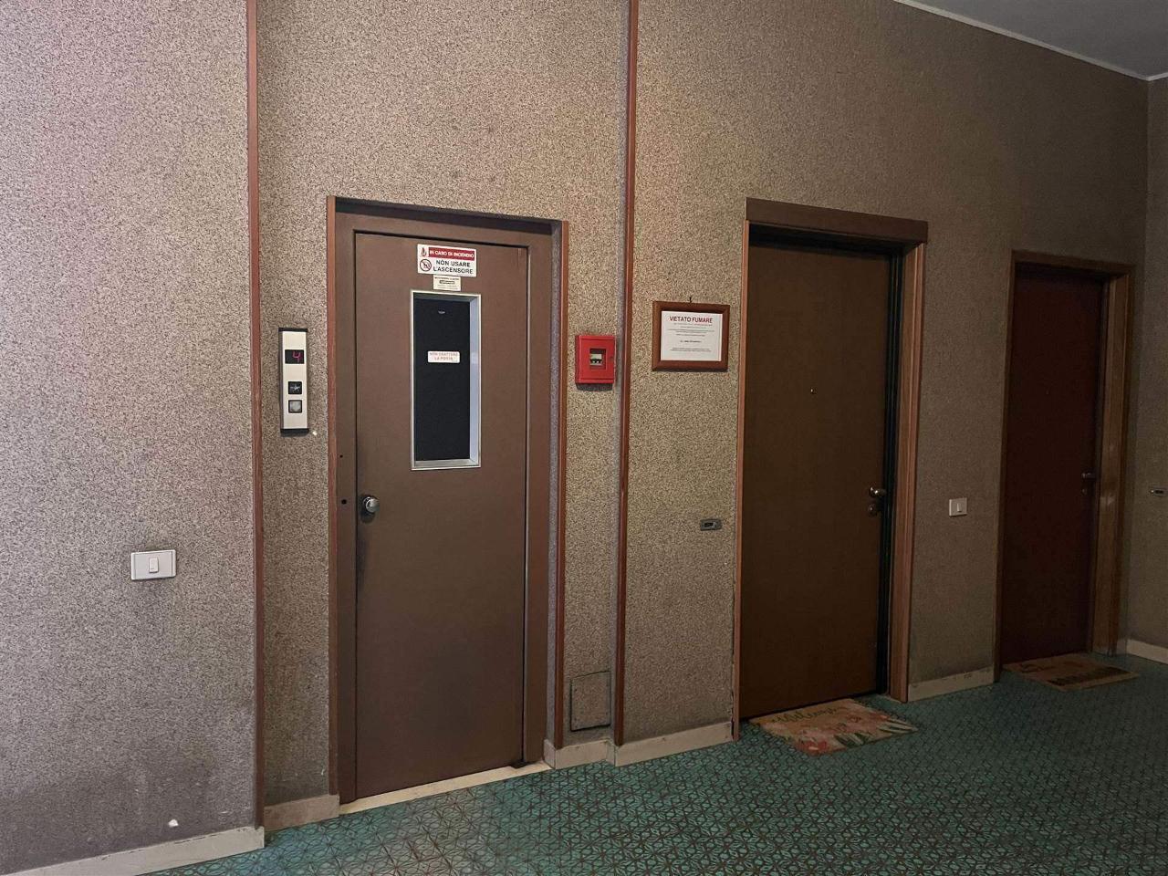 immagine annuncio 6 di 14