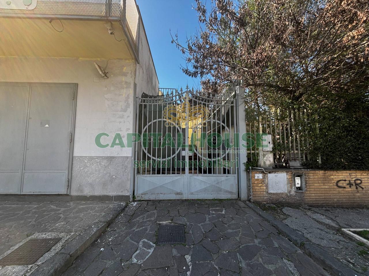 immagine annuncio 11 di 14