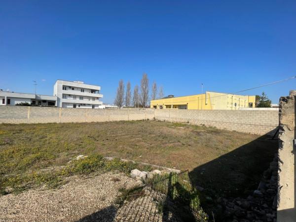 immagine annuncio 5 di 9