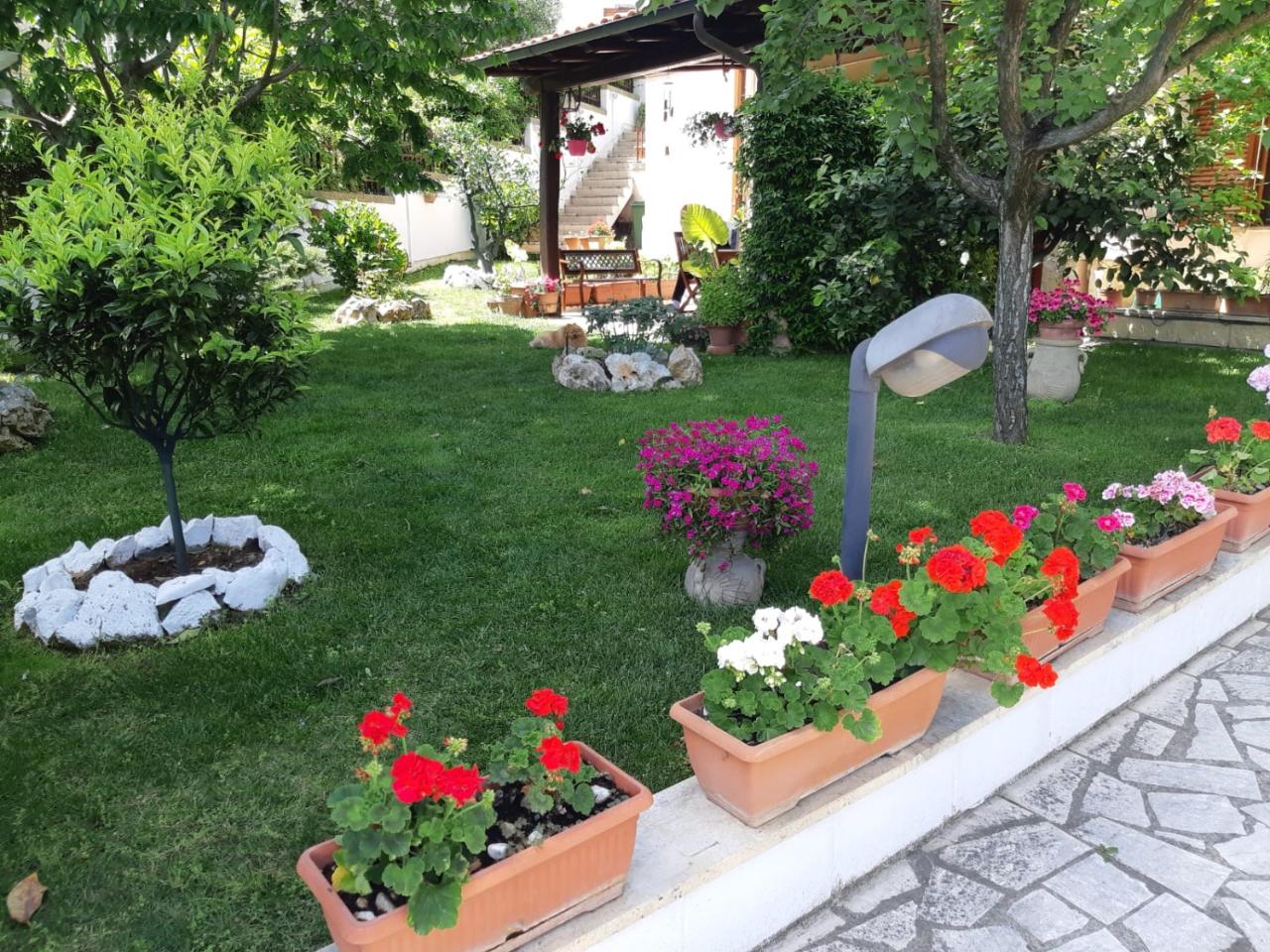 immagine annuncio 4 di 15