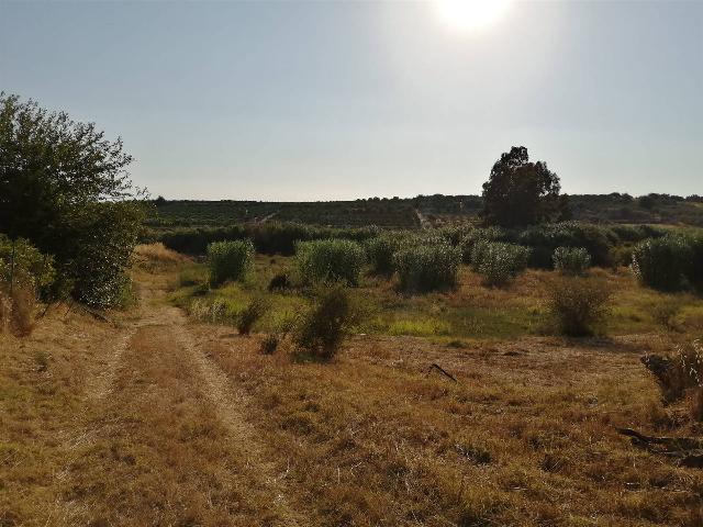 Terreno agricolo in Strada Provinciale, Motta Sant'Anastasia - Foto 1