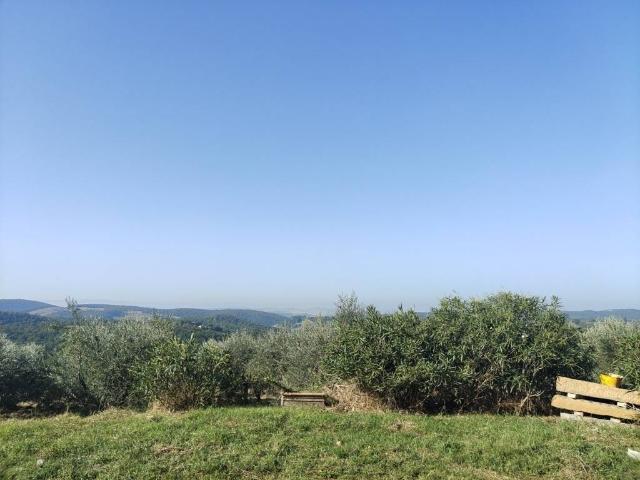 Wohnung in Podere Fornoli, Trequanda - Foto 1