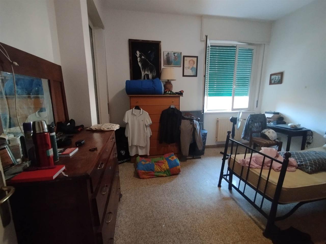 immagine annuncio 9 di 14