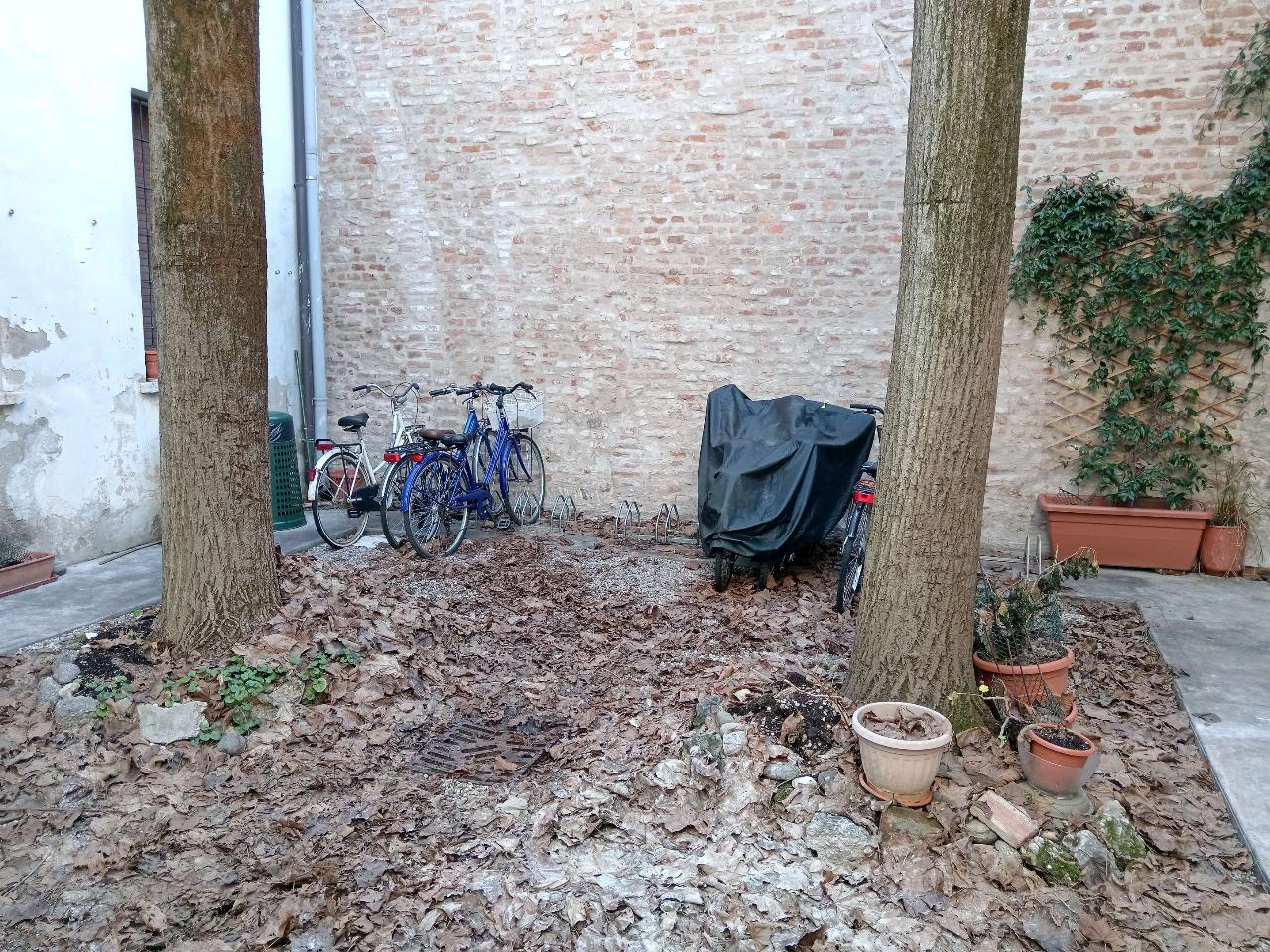 immagine annuncio 12 di 14