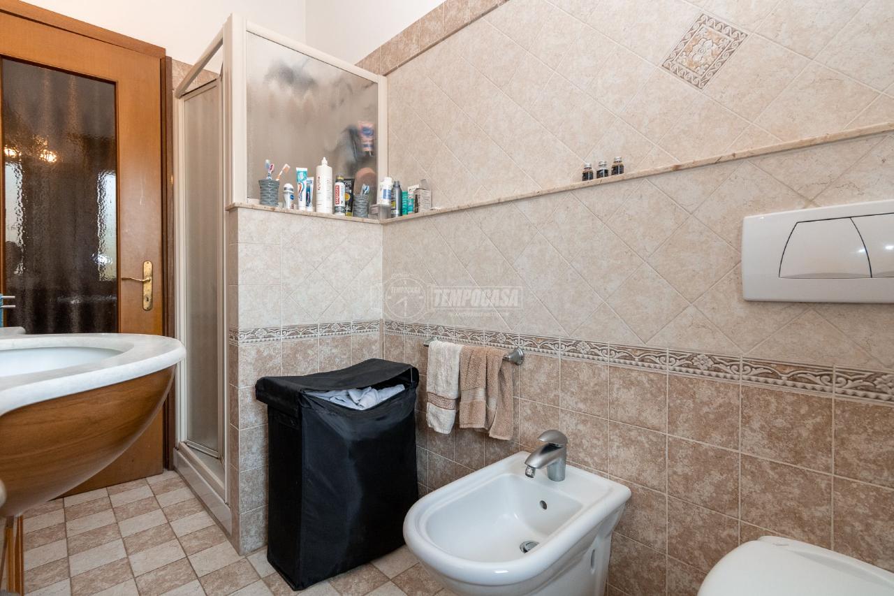 immagine annuncio 9 di 14
