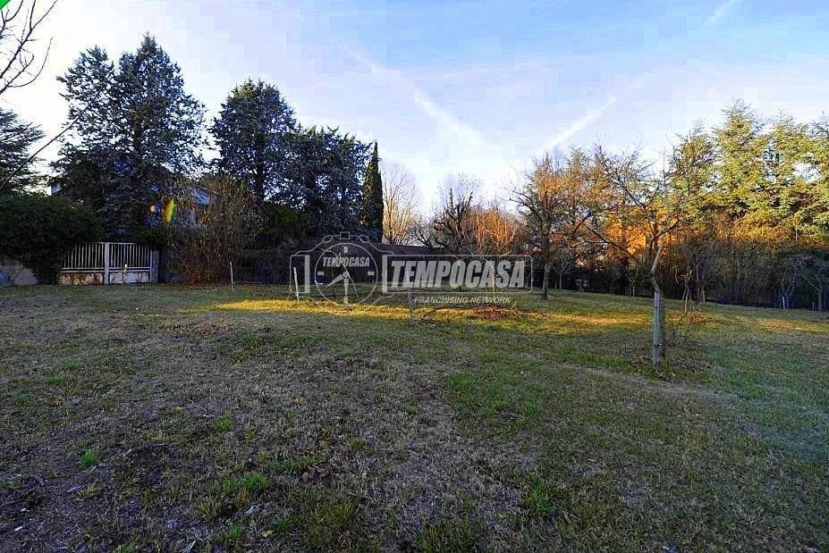 immagine annuncio 2 di 12