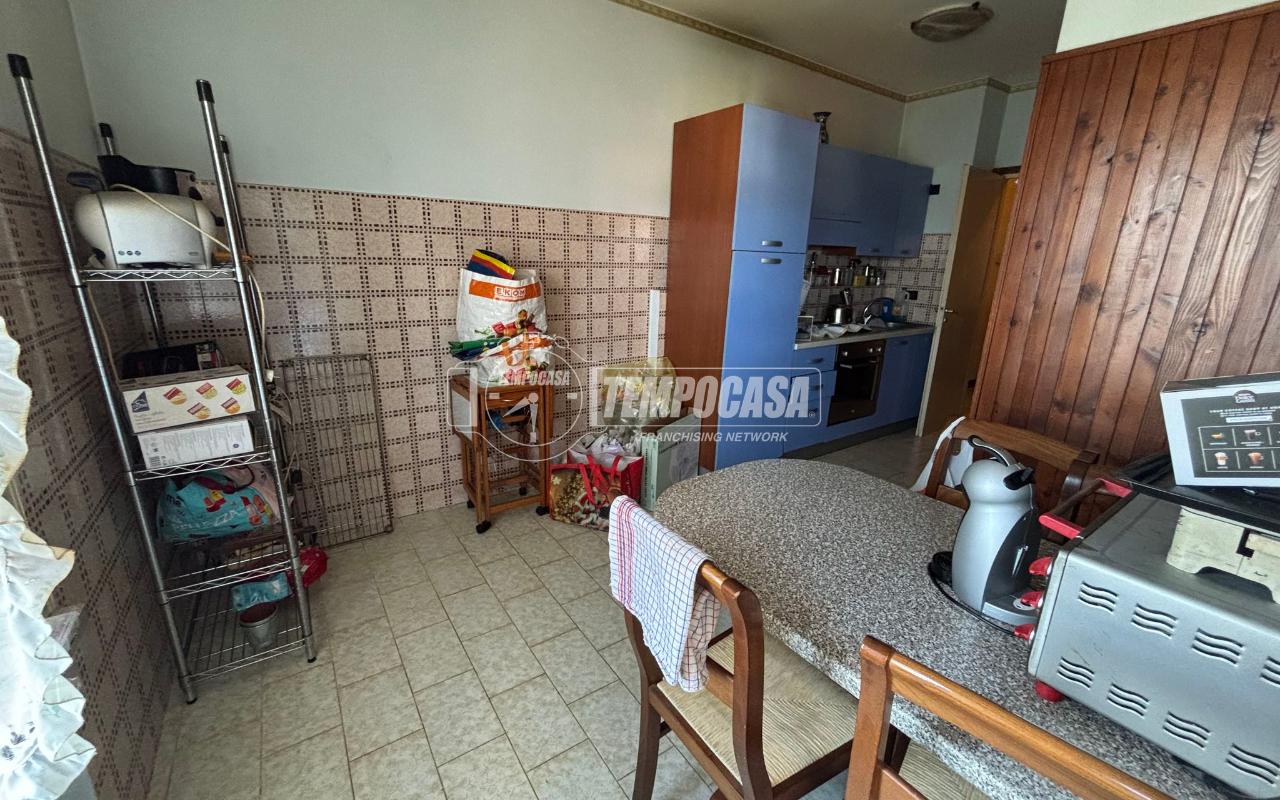immagine annuncio 1 di 14