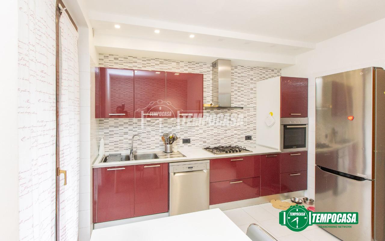 immagine annuncio 5 di 15