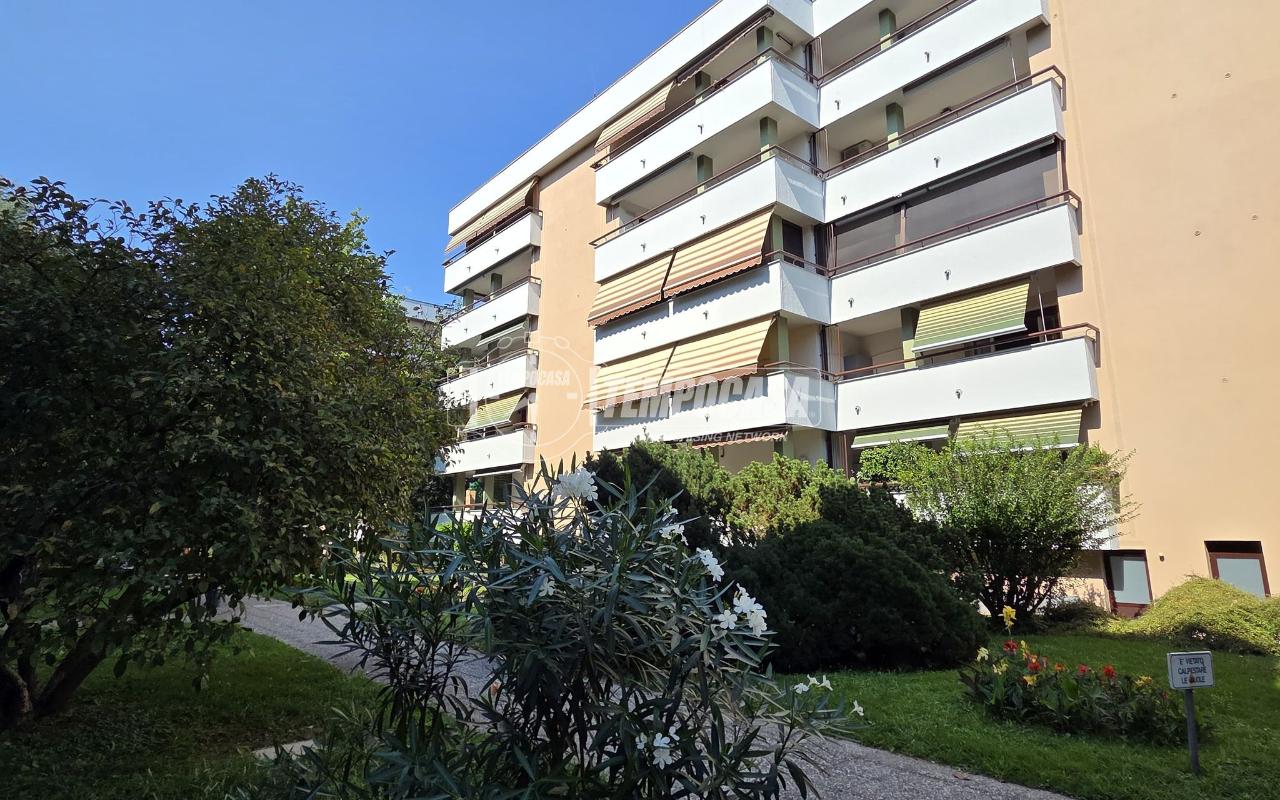 immagine annuncio 1 di 13