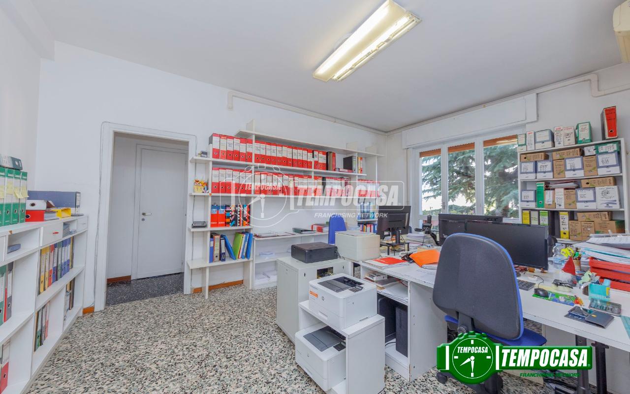 immagine annuncio 3 di 11