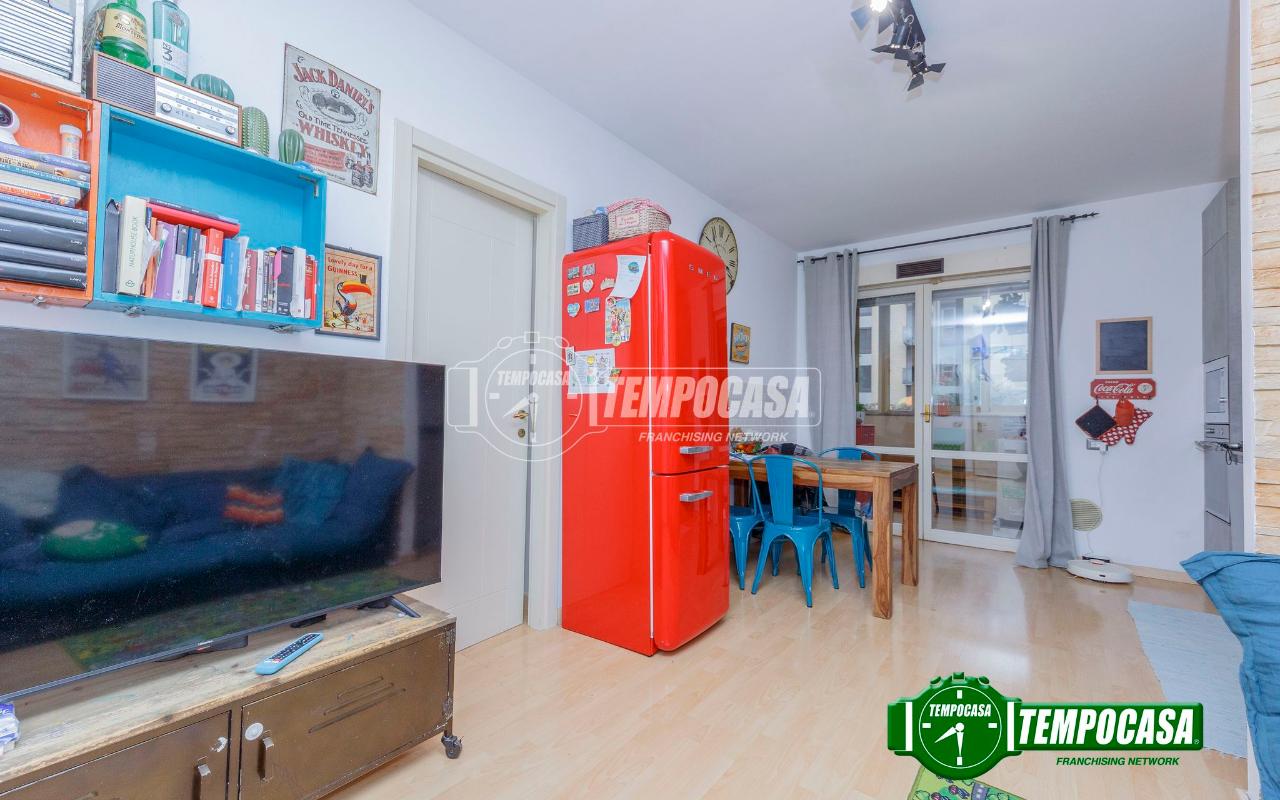 immagine annuncio 3 di 13