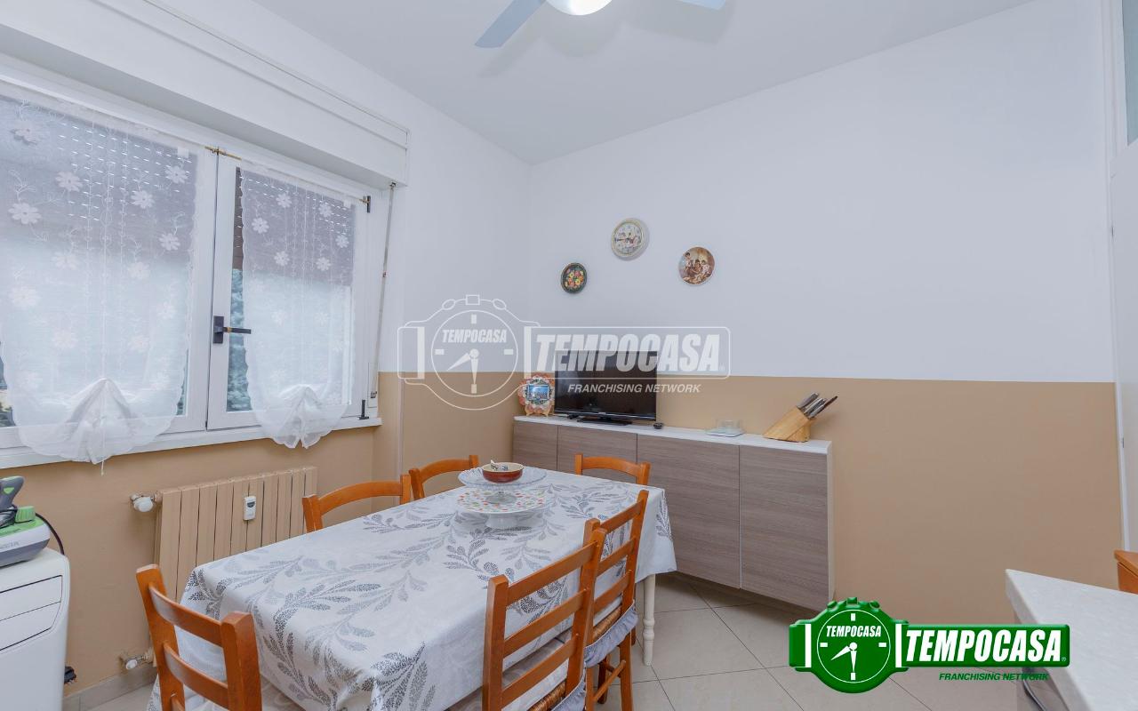 immagine annuncio 5 di 13