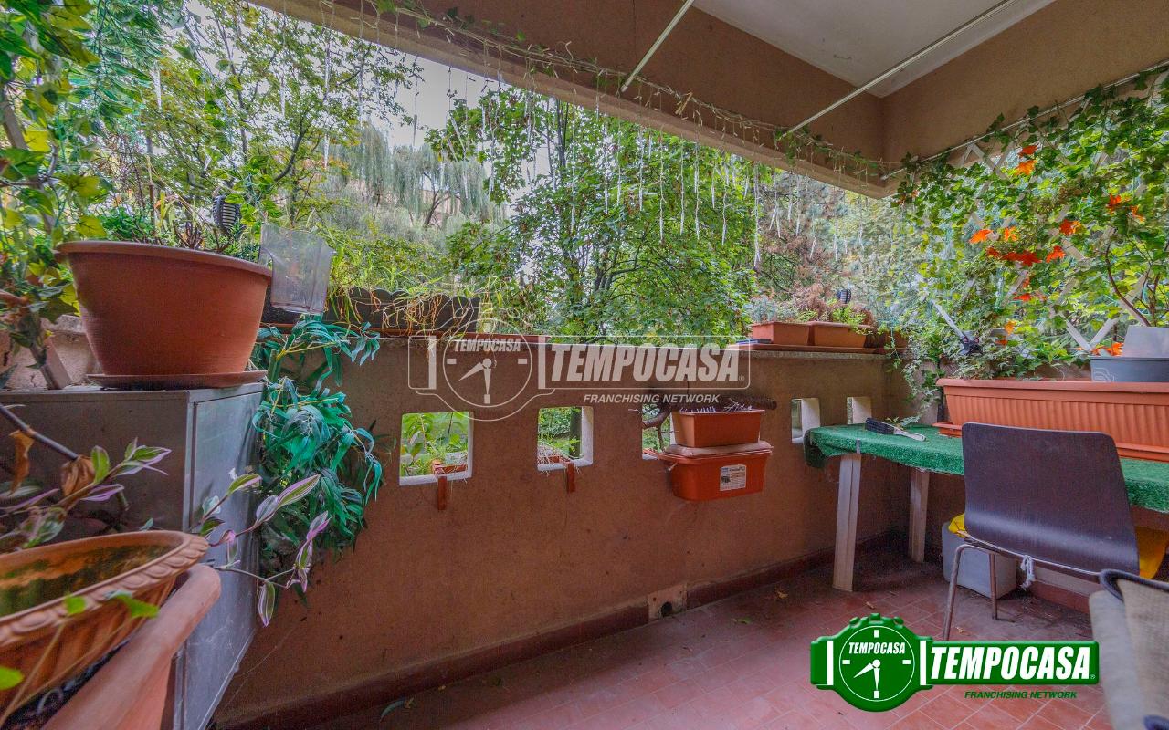 immagine annuncio 4 di 11