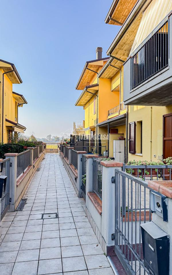 immagine annuncio 7 di 11