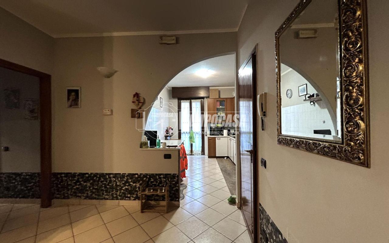 immagine annuncio 4 di 14