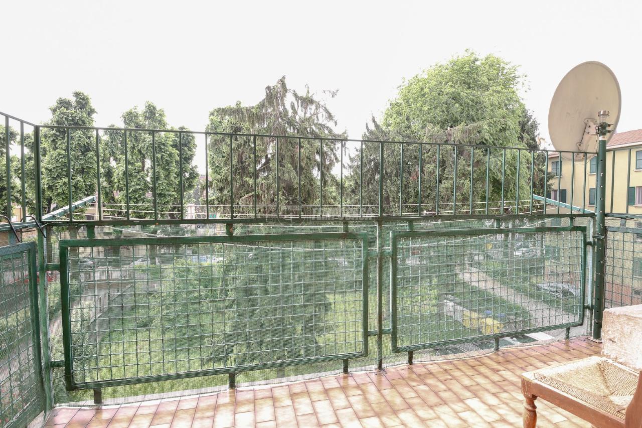 immagine annuncio 7 di 15