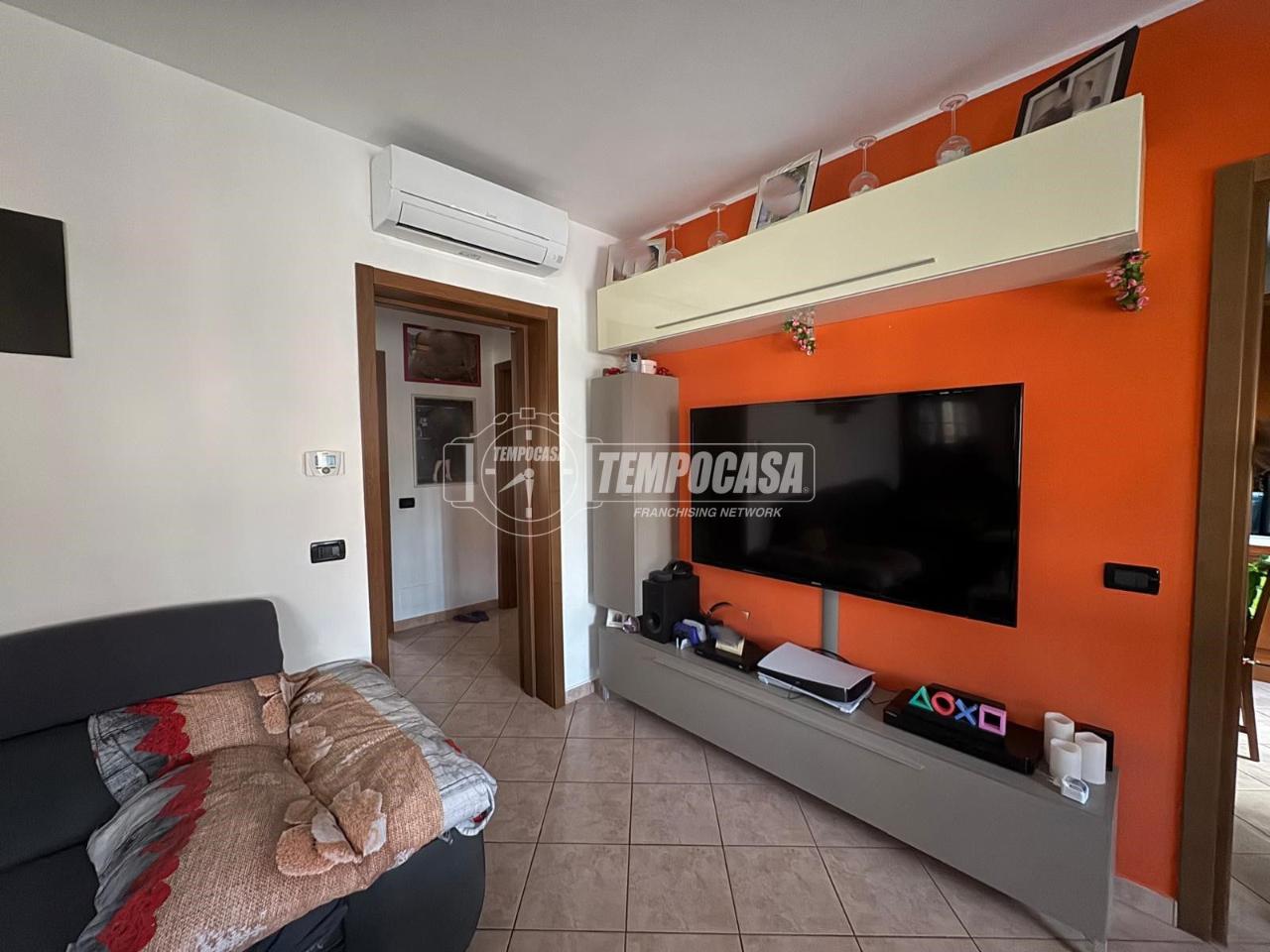 immagine annuncio 1 di 14