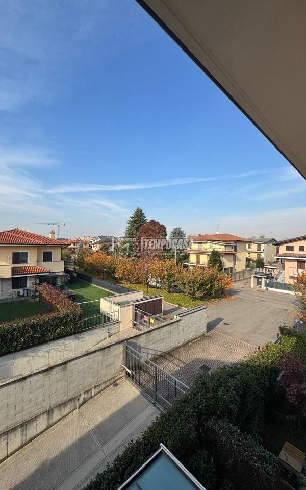 immagine annuncio 11 di 14