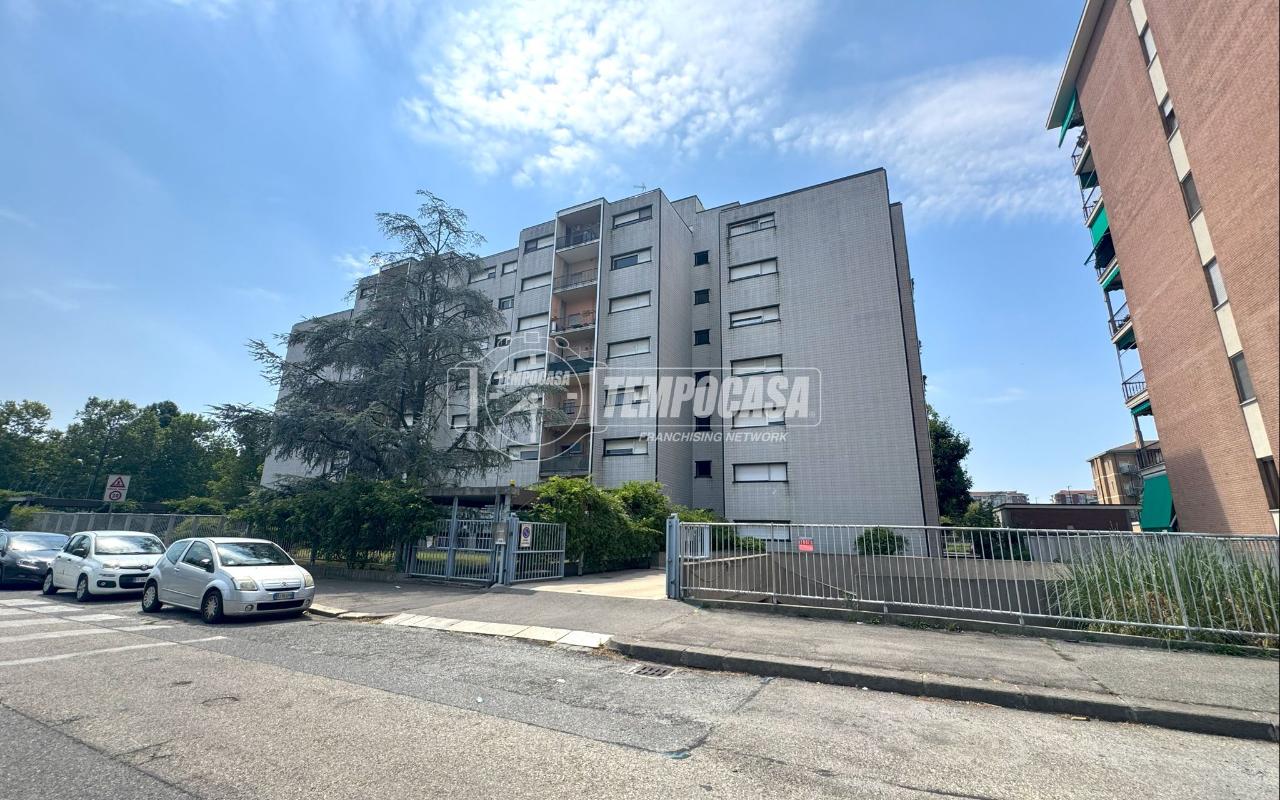 immagine annuncio 1 di 15