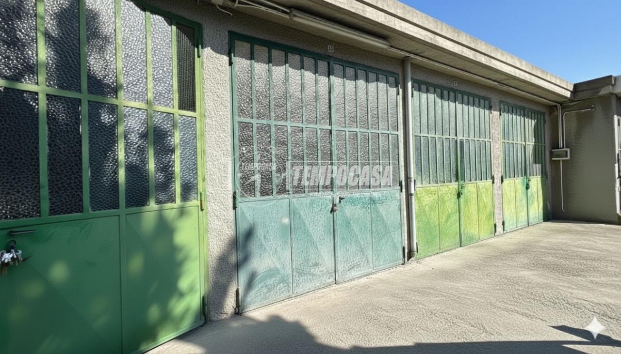 immagine annuncio 3 di 7