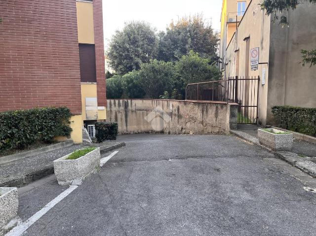 insertion image