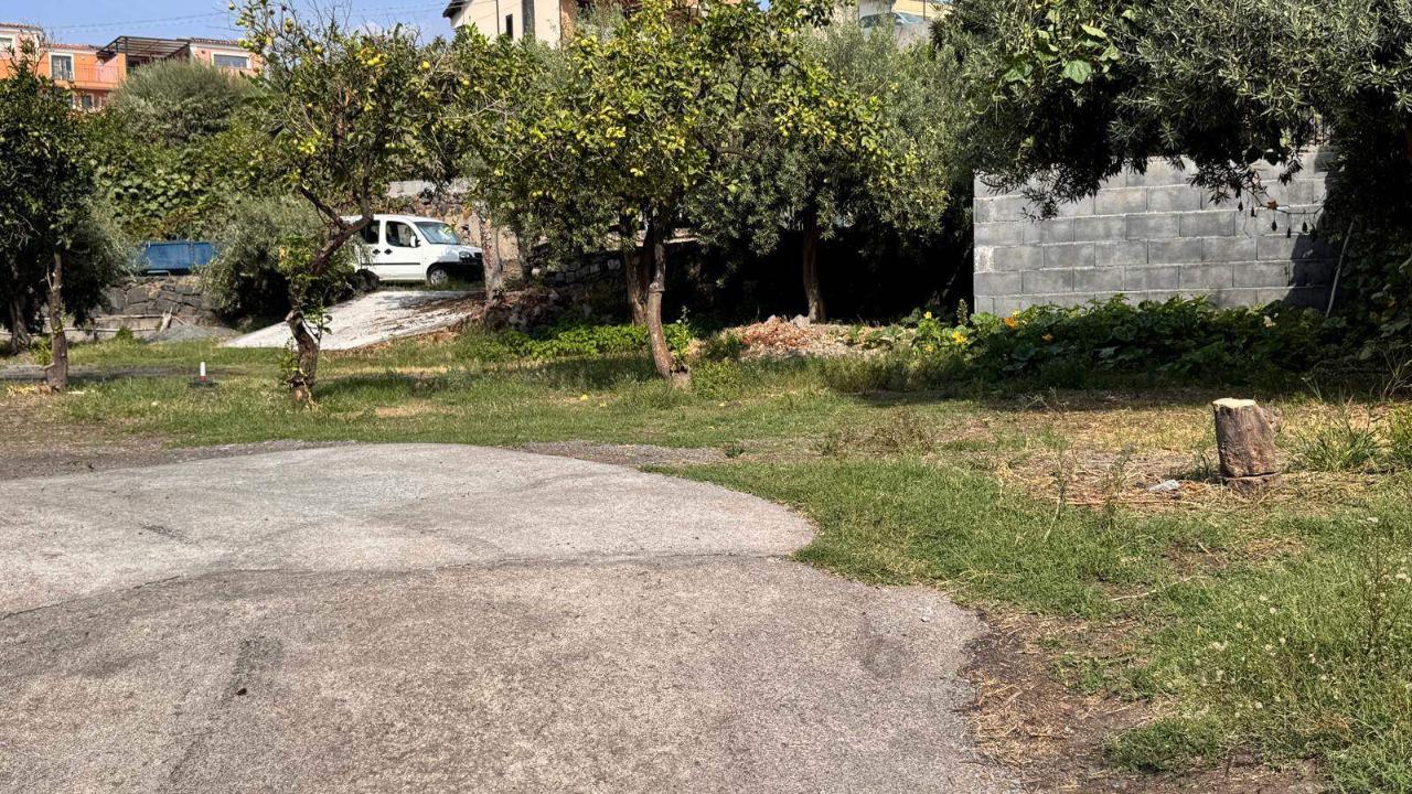 immagine annuncio 11 di 14