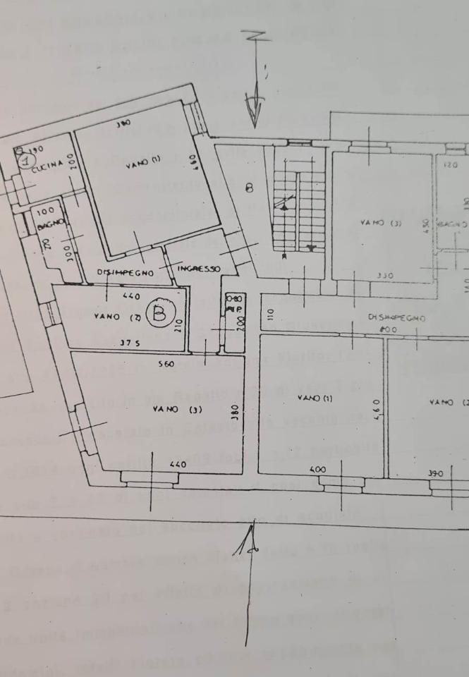 immagine annuncio 13 di 14