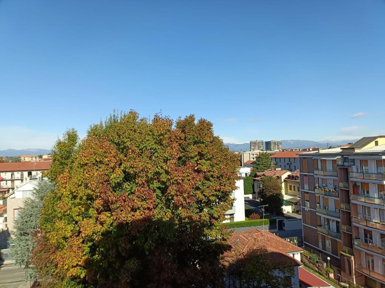 immagine annuncio 2 di 7