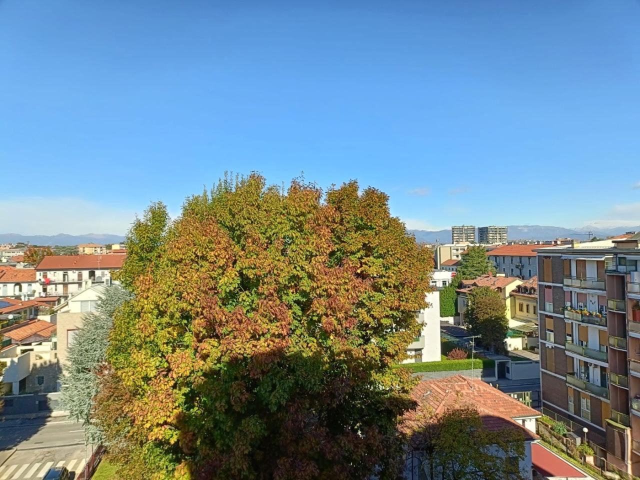 immagine annuncio 3 di 7