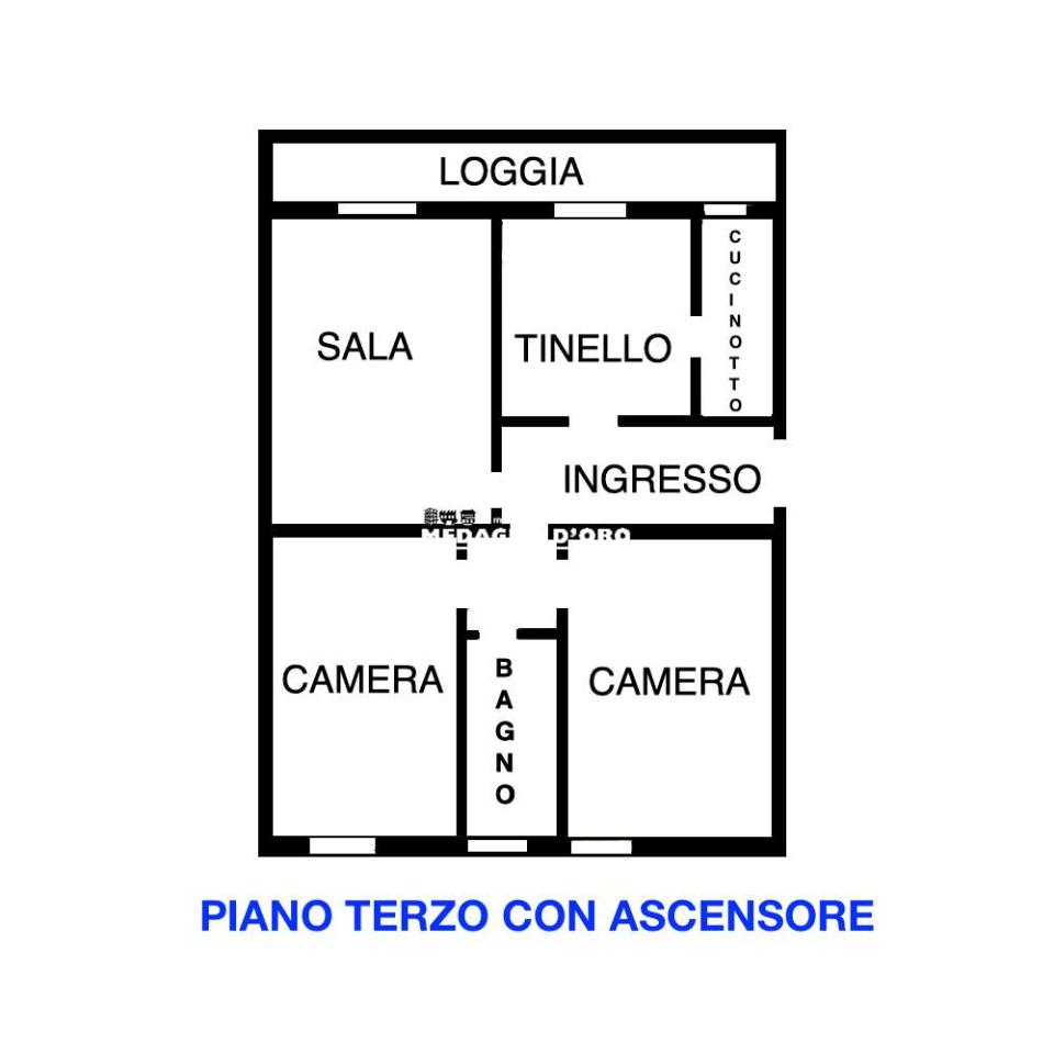immagine annuncio 9 di 15
