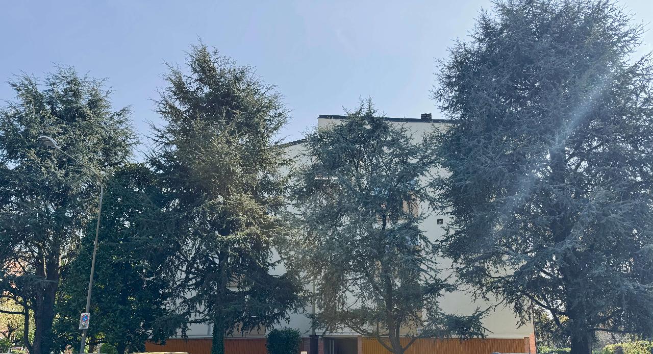 immagine annuncio 10 di 14