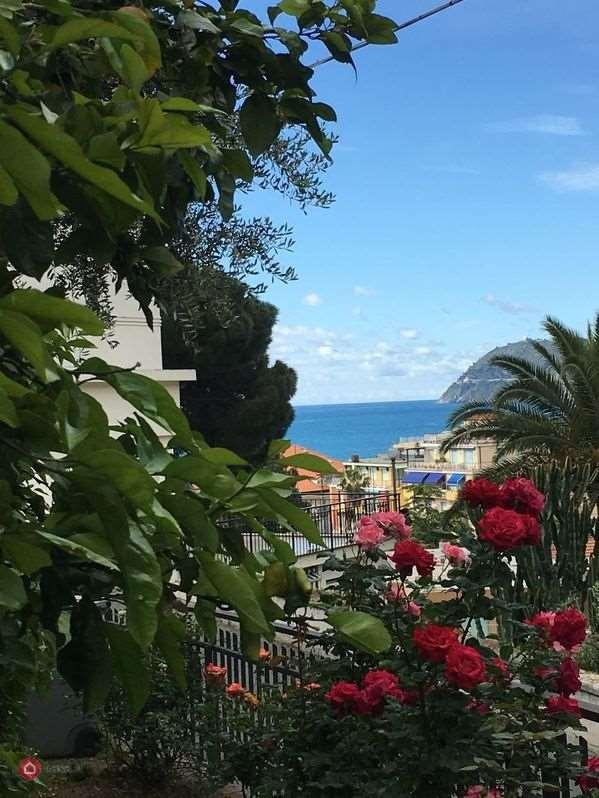 immagine annuncio 11 di 14