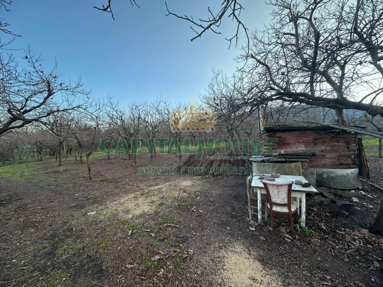 immagine annuncio 3 di 12