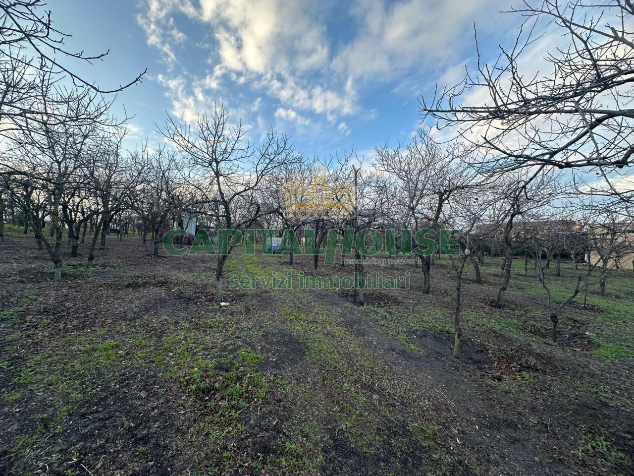 immagine annuncio 4 di 12