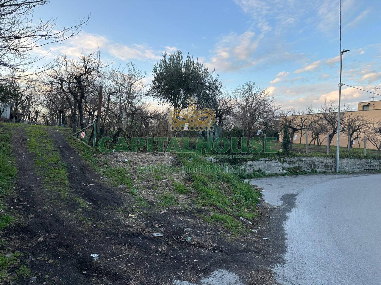 immagine annuncio 7 di 12