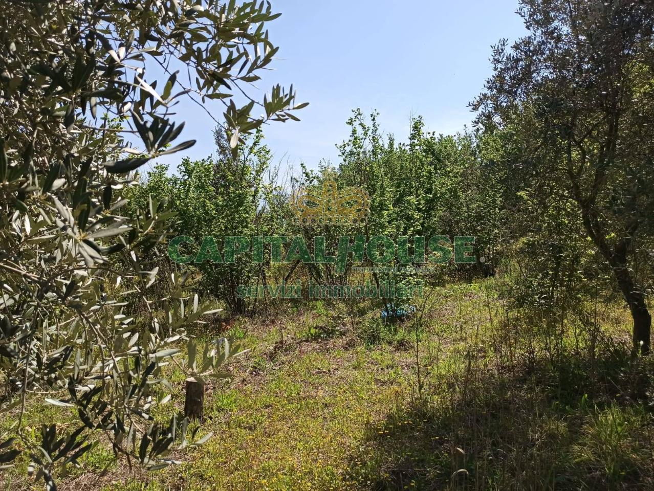immagine annuncio 8 di 13