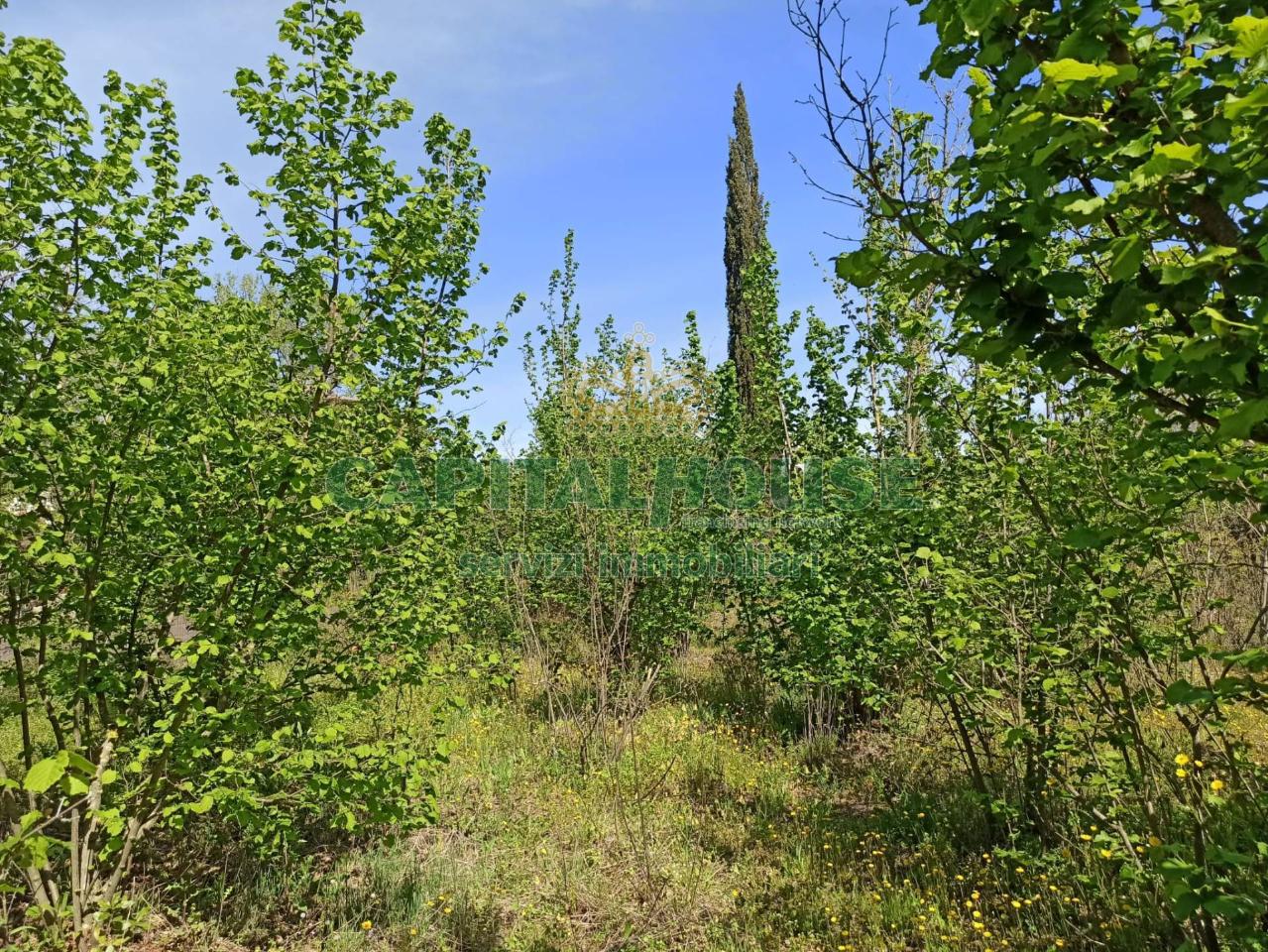 immagine annuncio 7 di 13