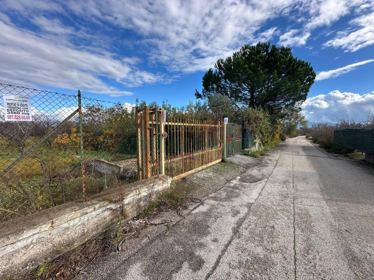 immagine annuncio 7 di 13