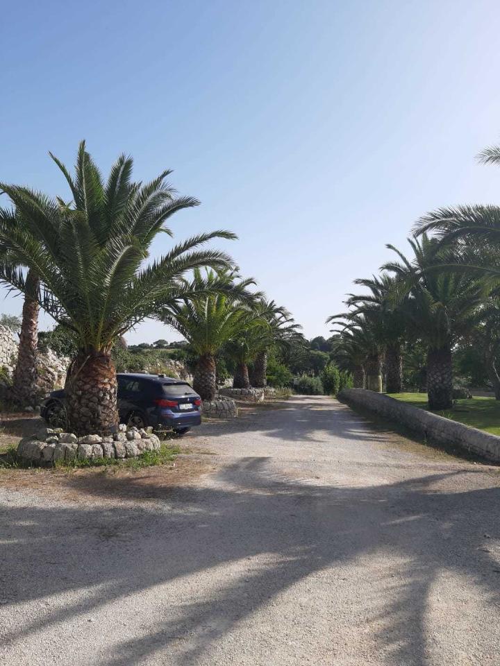 immagine annuncio 3 di 14