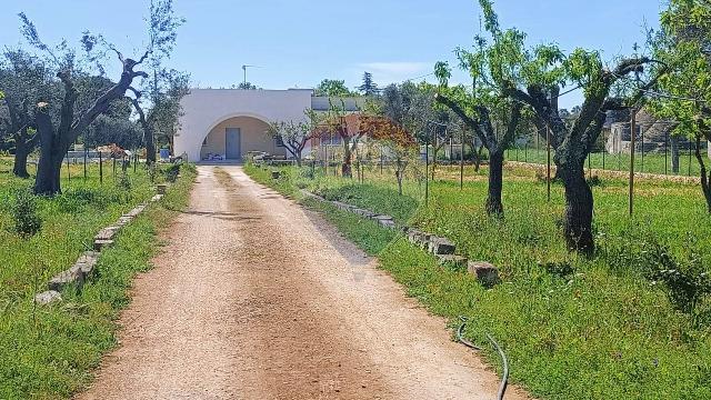 Villa in Contrada Pagliamonte Snc, San Vito dei Normanni - Foto 1