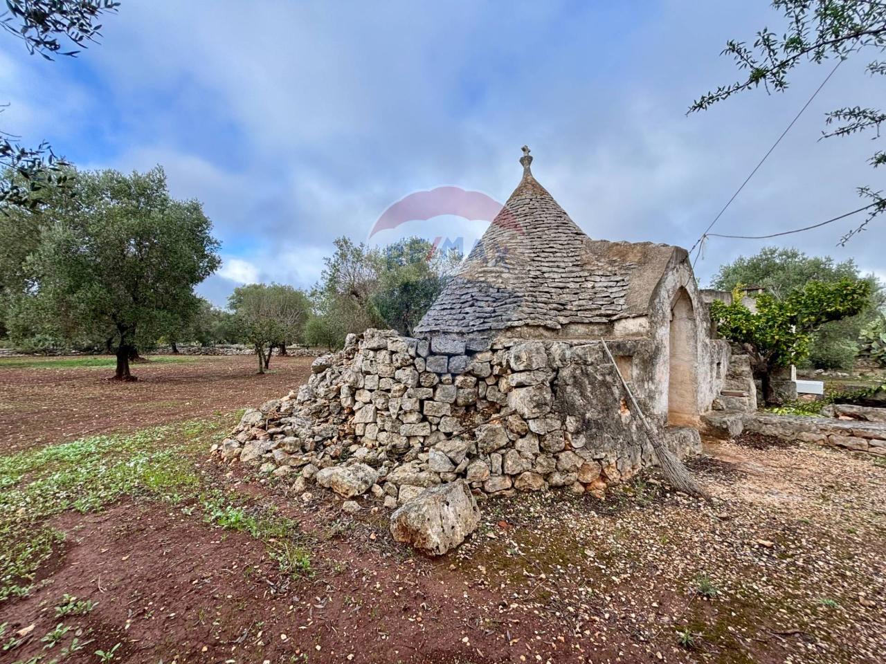 immagine annuncio 7 di 13