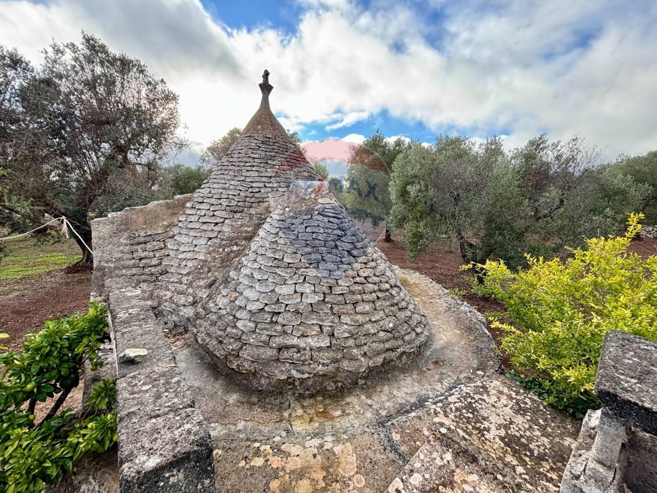 immagine annuncio 11 di 13