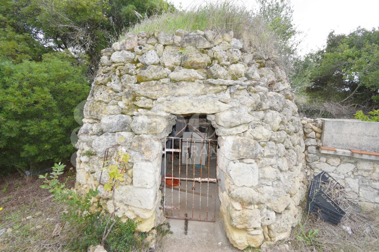 immagine annuncio 6 di 14