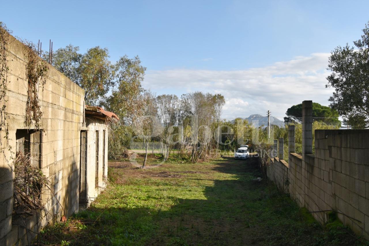 immagine annuncio 8 di 14