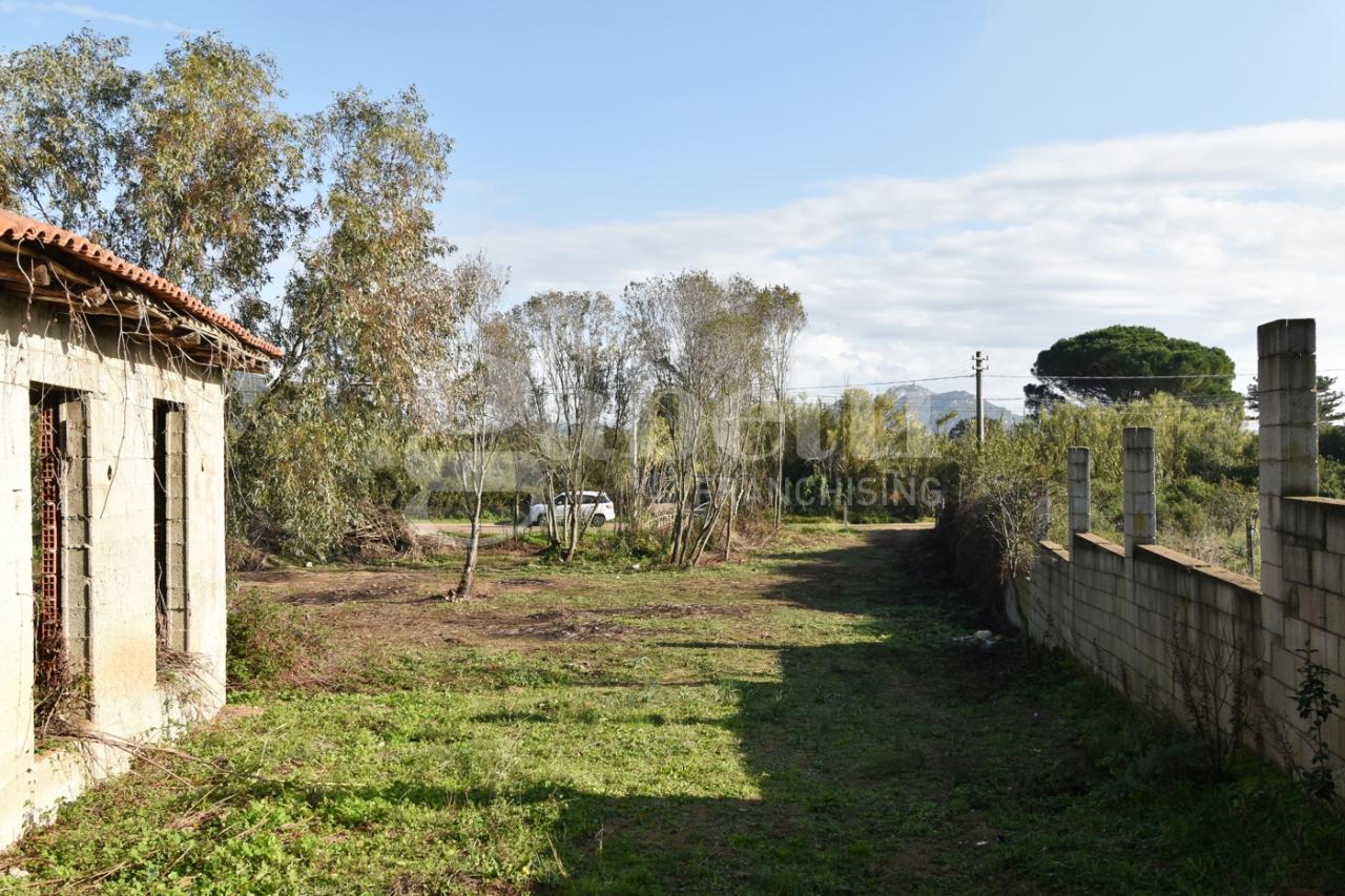 immagine annuncio 12 di 14